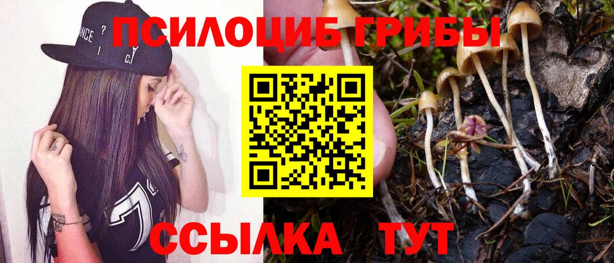 Псилоцибиновые грибы MAGIC MUSHROOMS  Вход с VPN  Кстово 