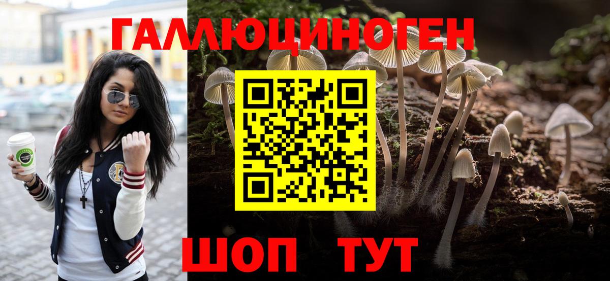 Галлюциногенные грибы GOLDEN TEACHER Кстово